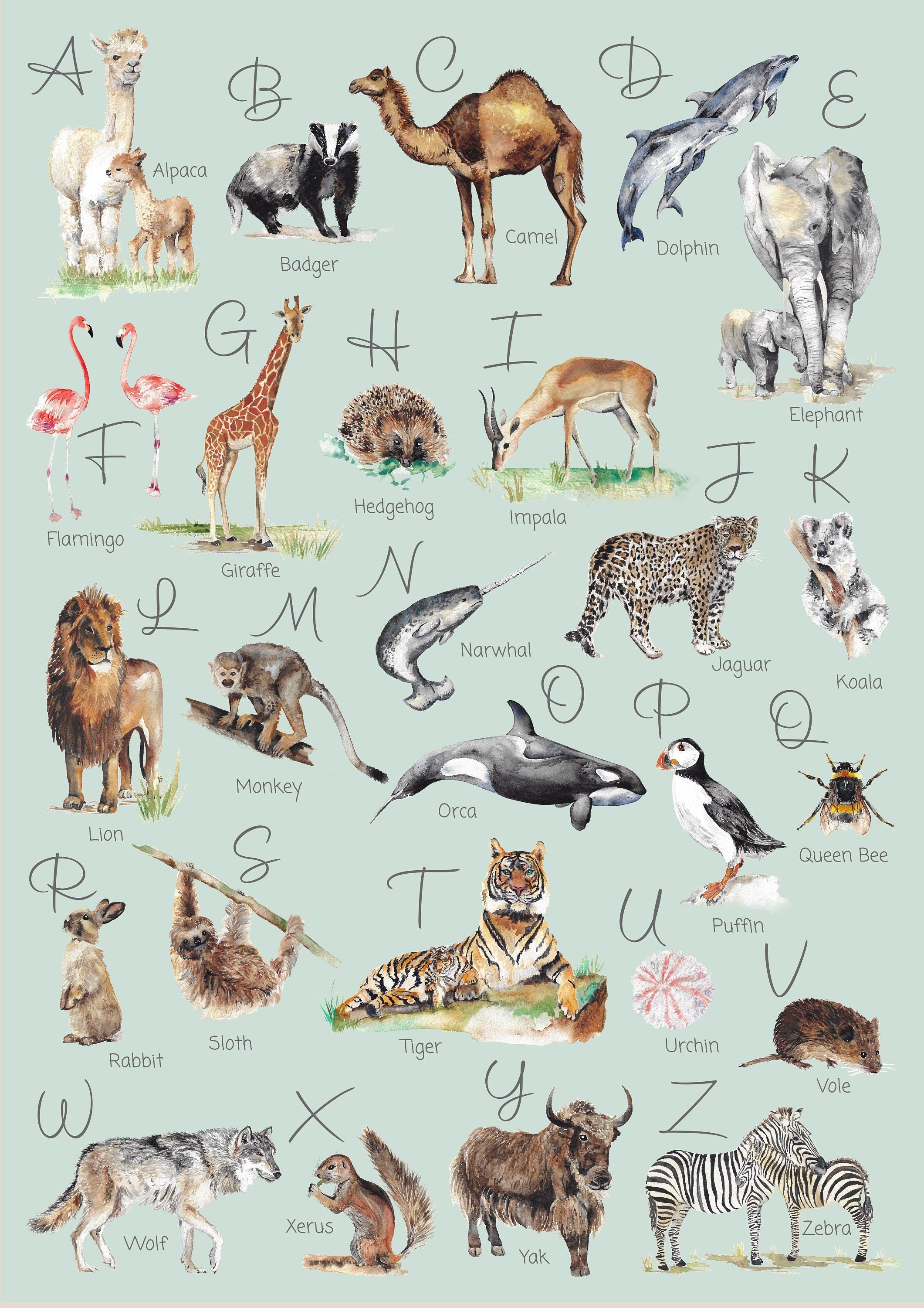 Animal Alphabet Children's Wall Print