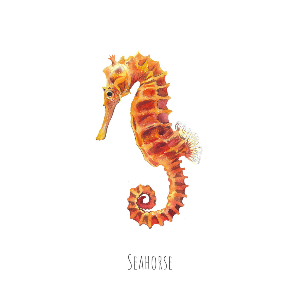 Personalised Seahorse Watercolour Fine Art Print