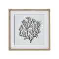 Coral Art - Miola