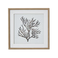 Reef Coral - Miola