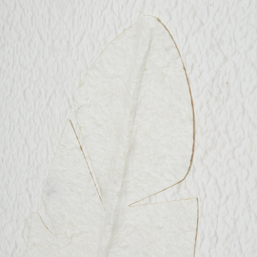 Large Quill White Feather