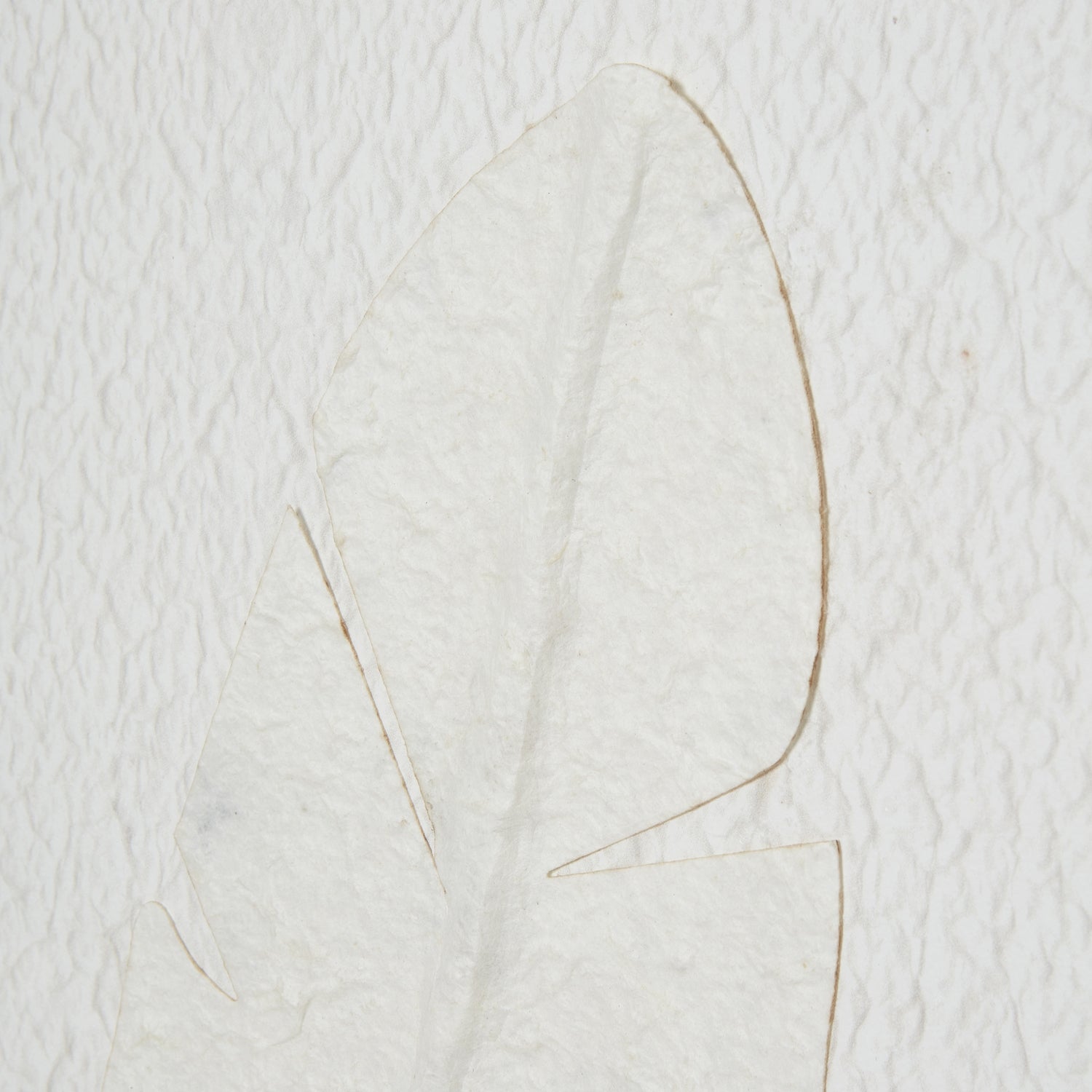 Large Quill White Feather