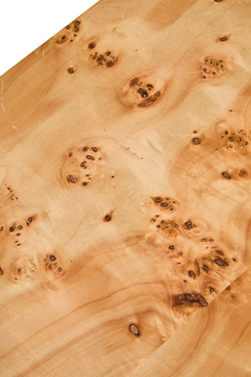 Natural Burl Wood Curved Coffee Table with Smooth Curved Edges, Mota - Miola