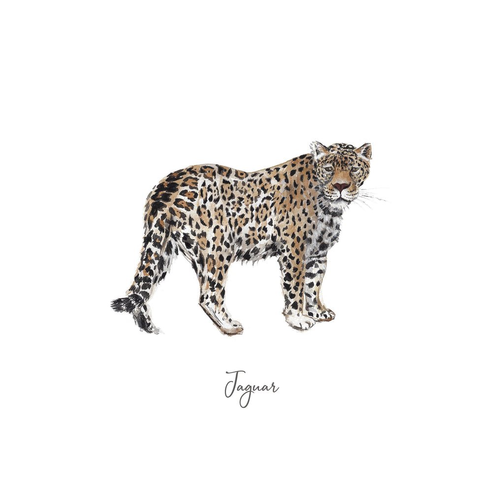 Jaguar Personalised Watercolour Fine Art Print