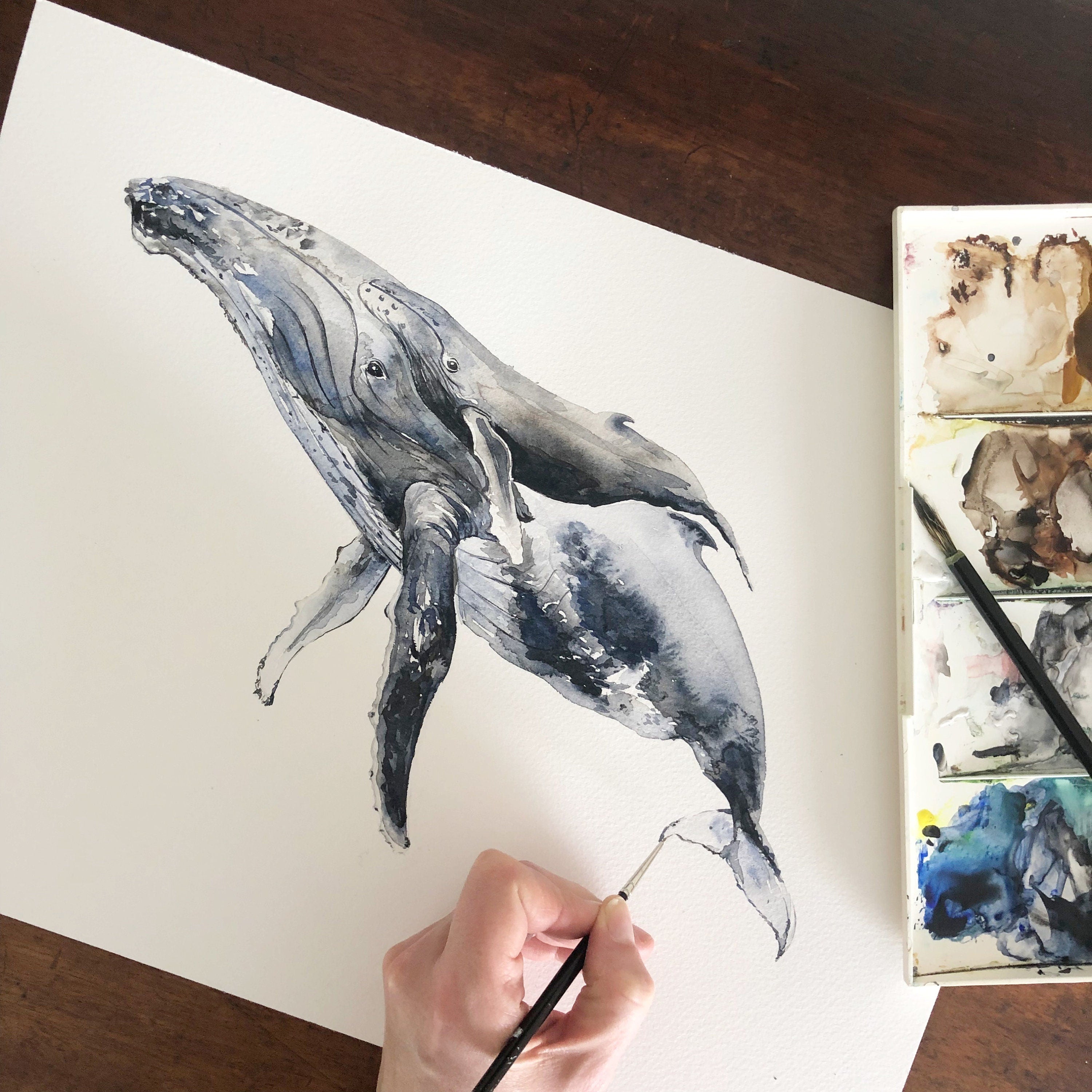 Humpback Whale  - Personalised Watercolour Fine Art Print