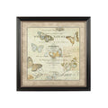 Framed Butterfly 2 - Miola