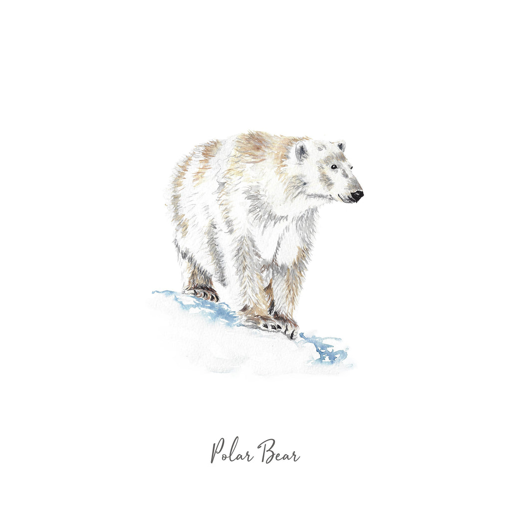 Polar Bear - Personalised Watercolour Fine Art Print