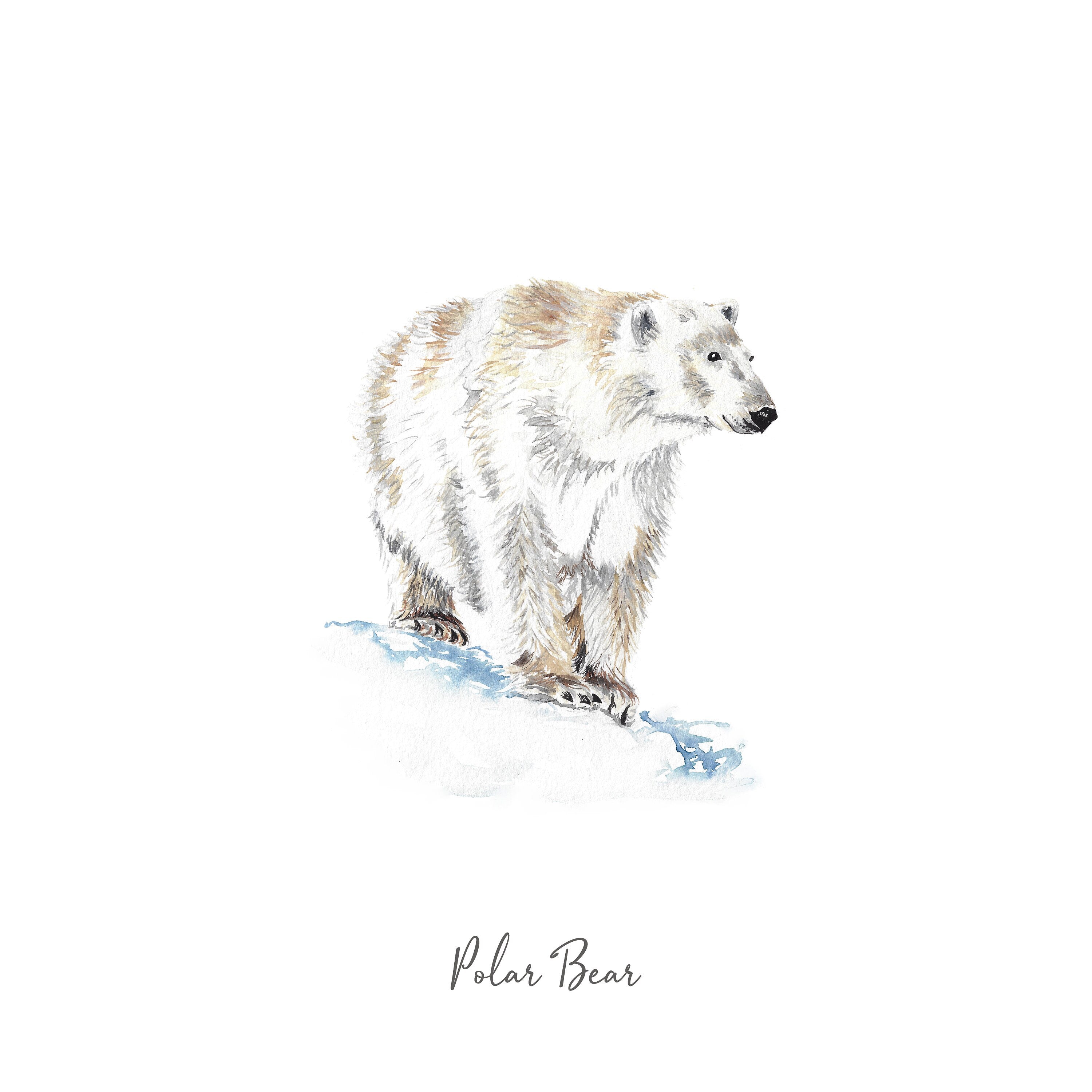 Polar Bear - Personalised Watercolour Fine Art Print