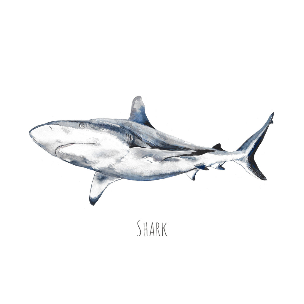 Personalised Shark Watercolour Fine Art Print