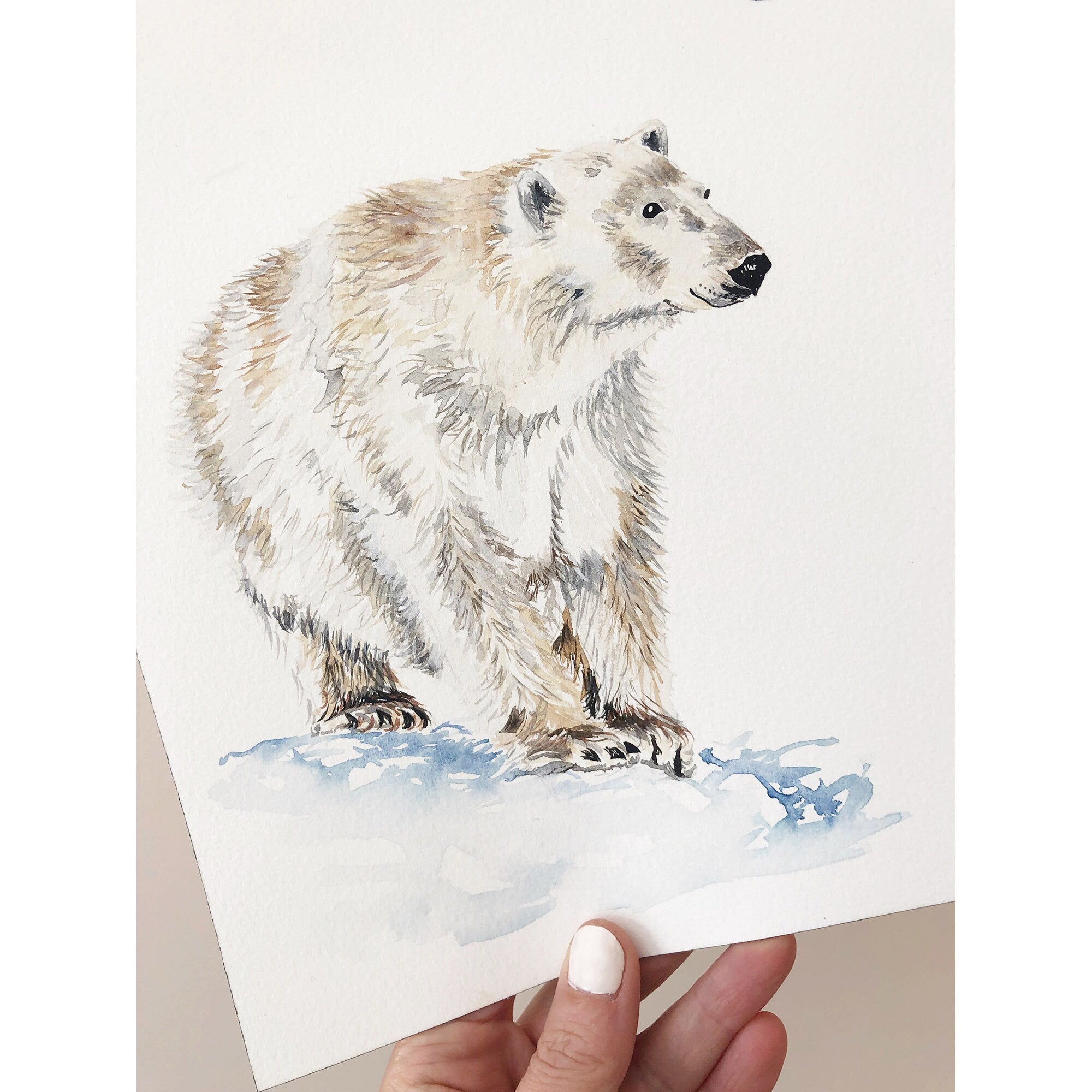 Polar Bear - Personalised Watercolour Fine Art Print