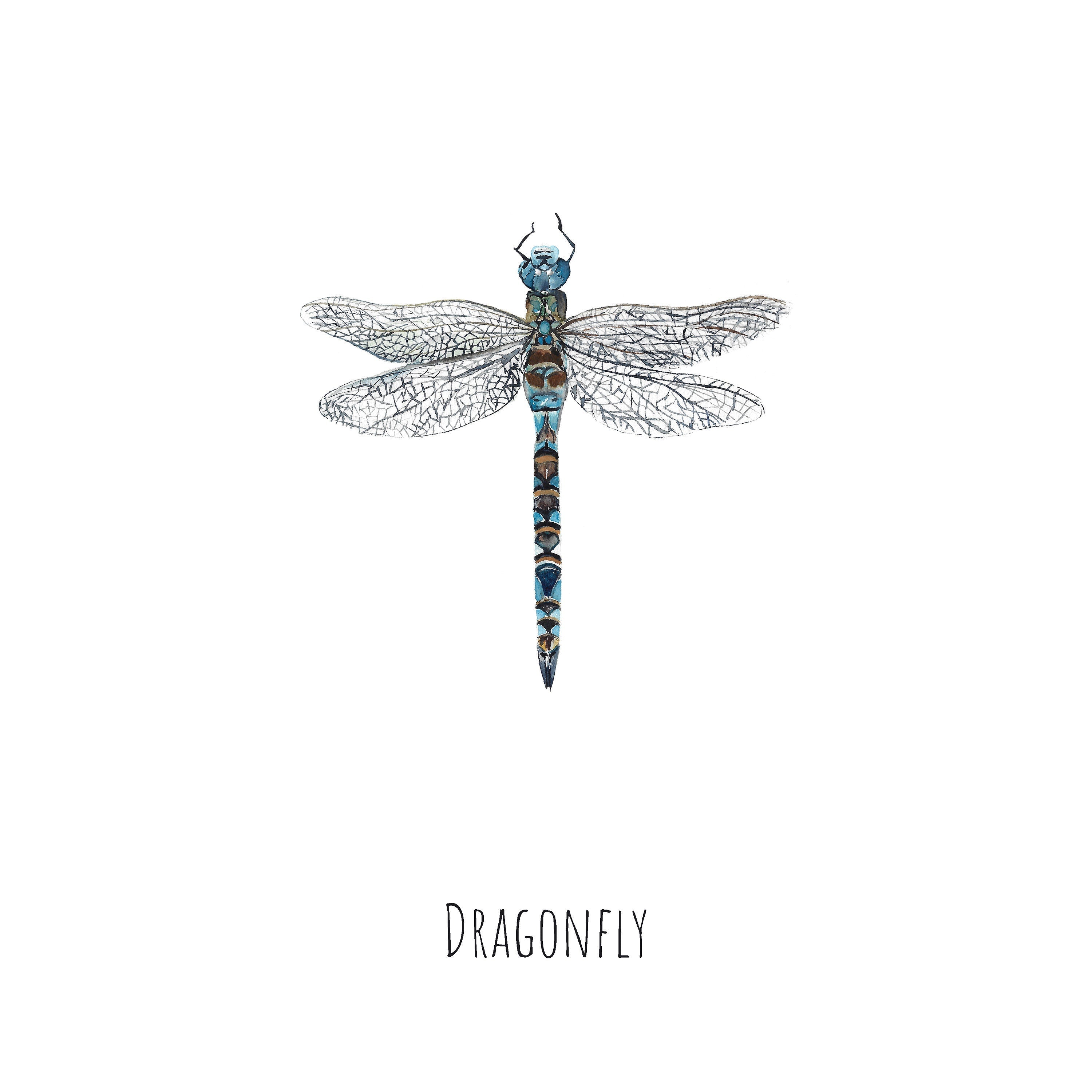 Dragonfly Watercolour Fine Art Print