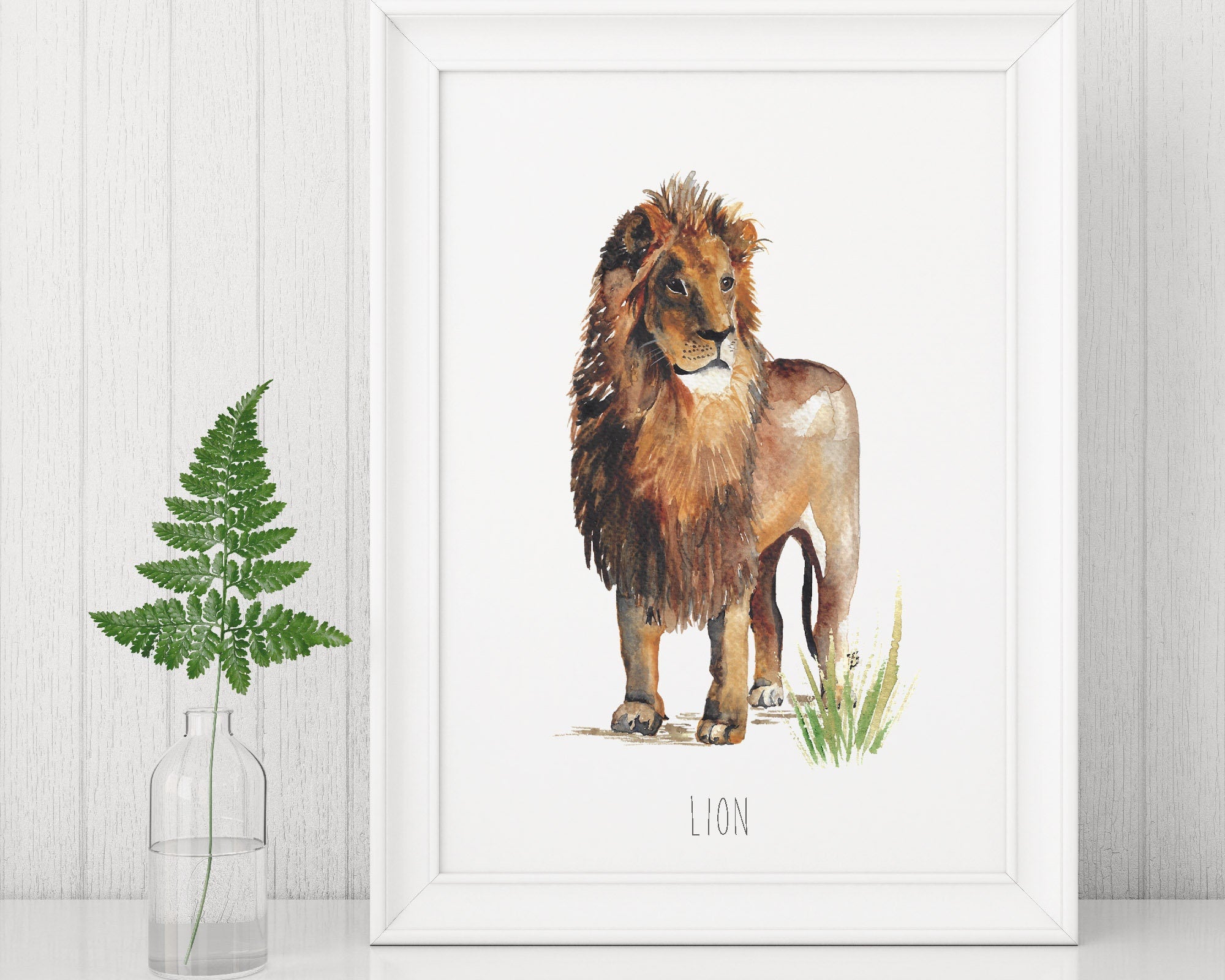 Watercolour Lion Fine Art Print
