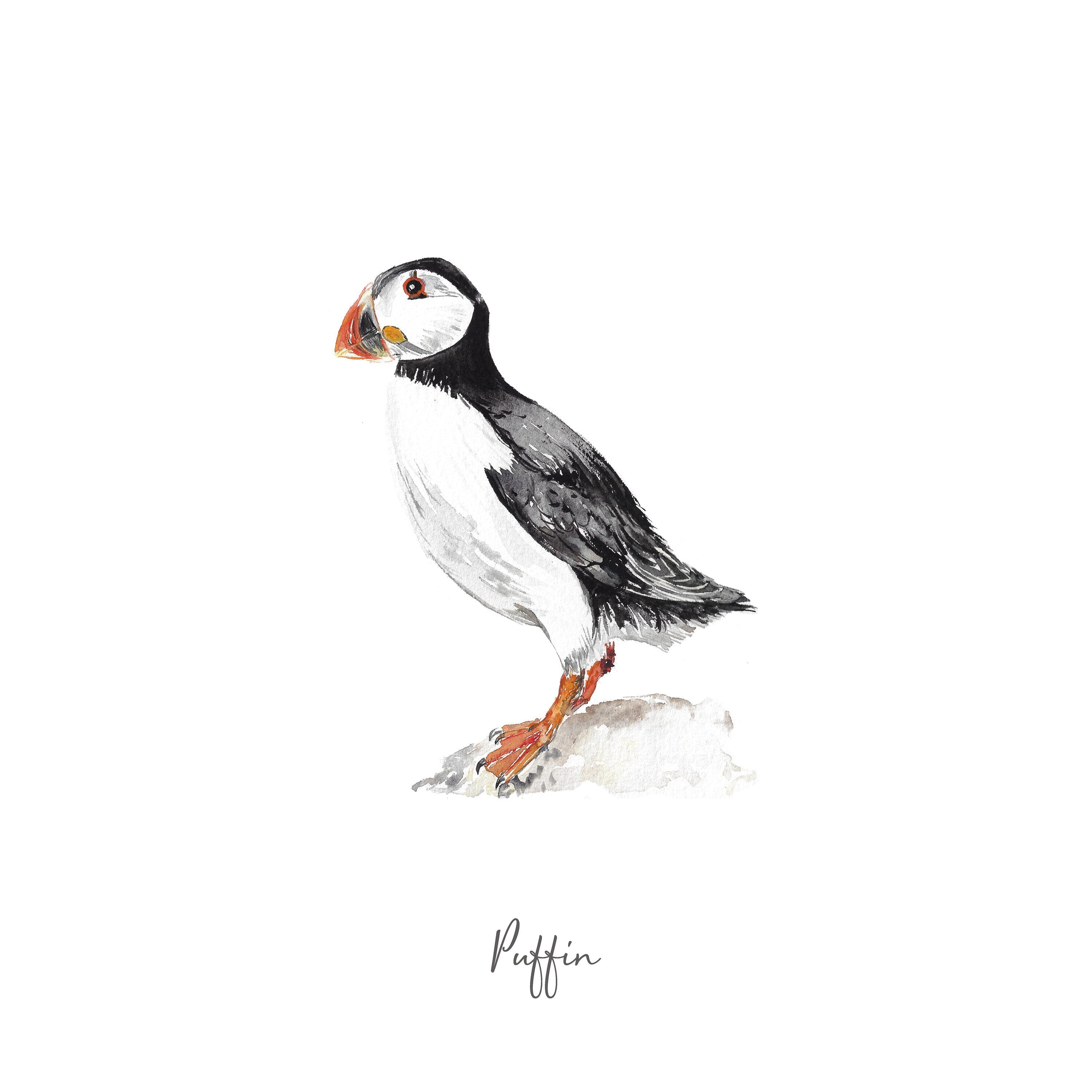 Puffin - Personalised Watercolour Fine Art Print