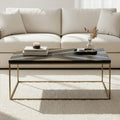 Aris Black and Gold Striped Acacia Wood Coffee Table with Interconnected Metal Legs - Miola