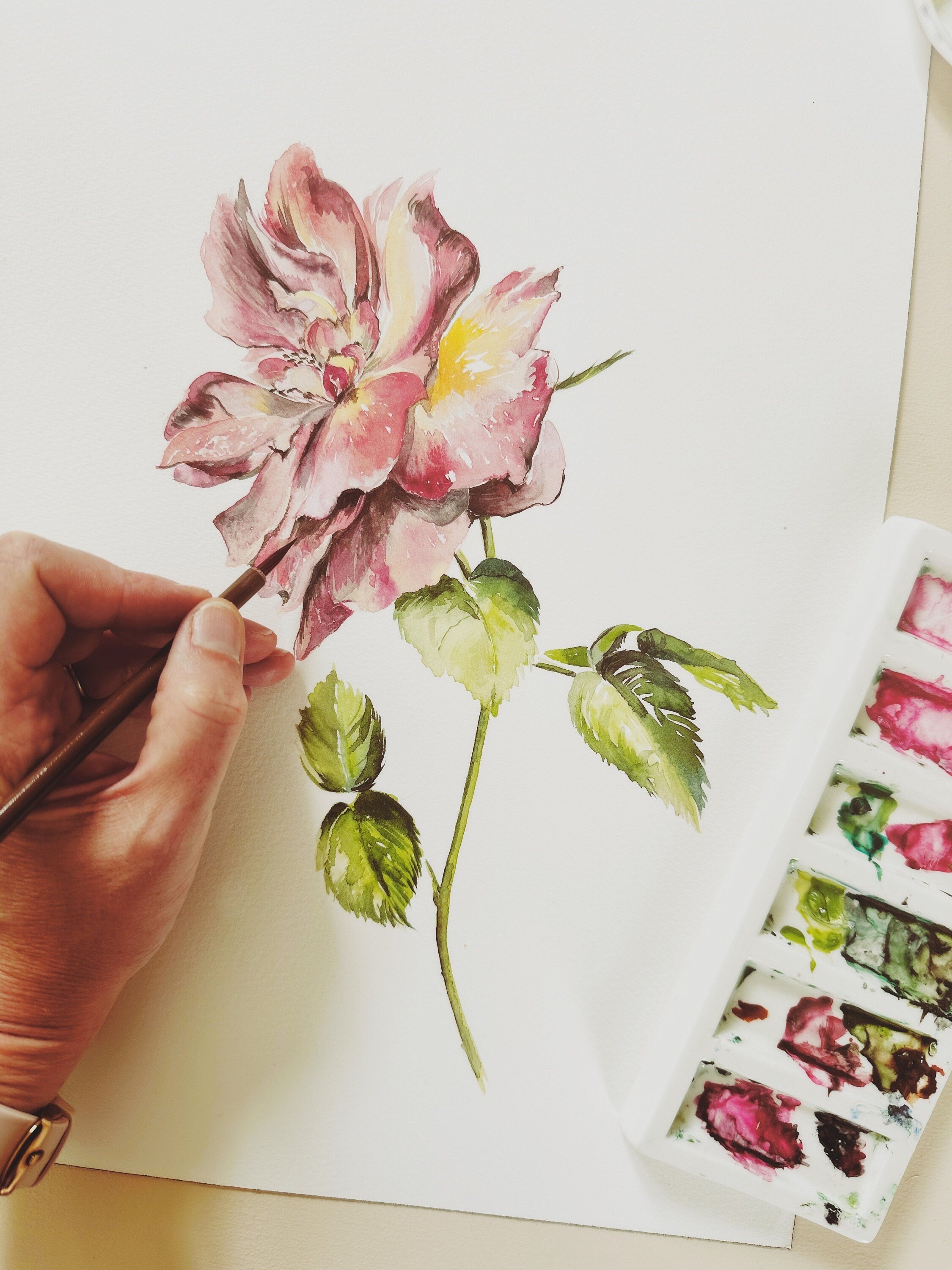 Rose - June Birth Flower - Watercolour Fine Art Print