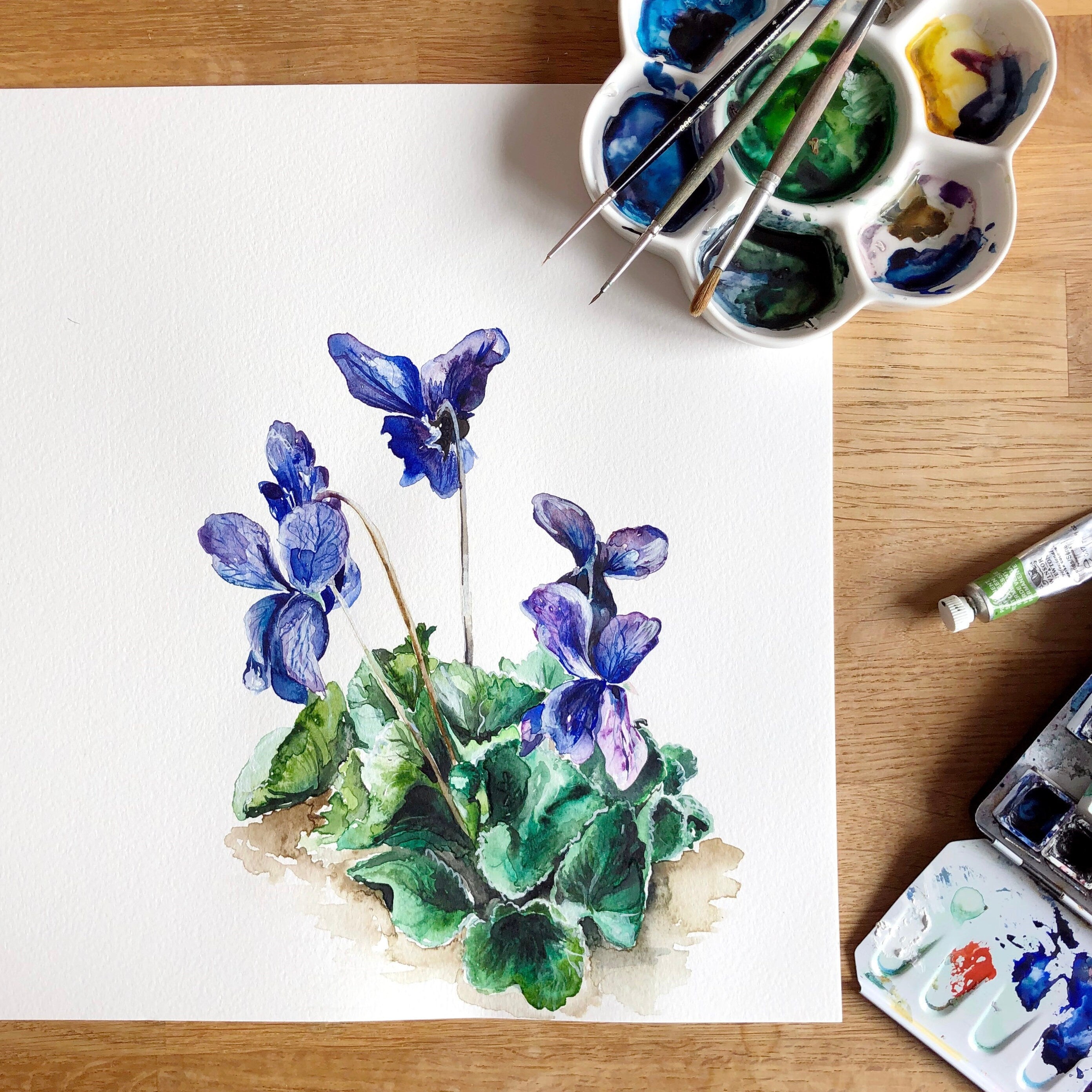 Violet - February Birth Flower - Watercolour Fine Art Print