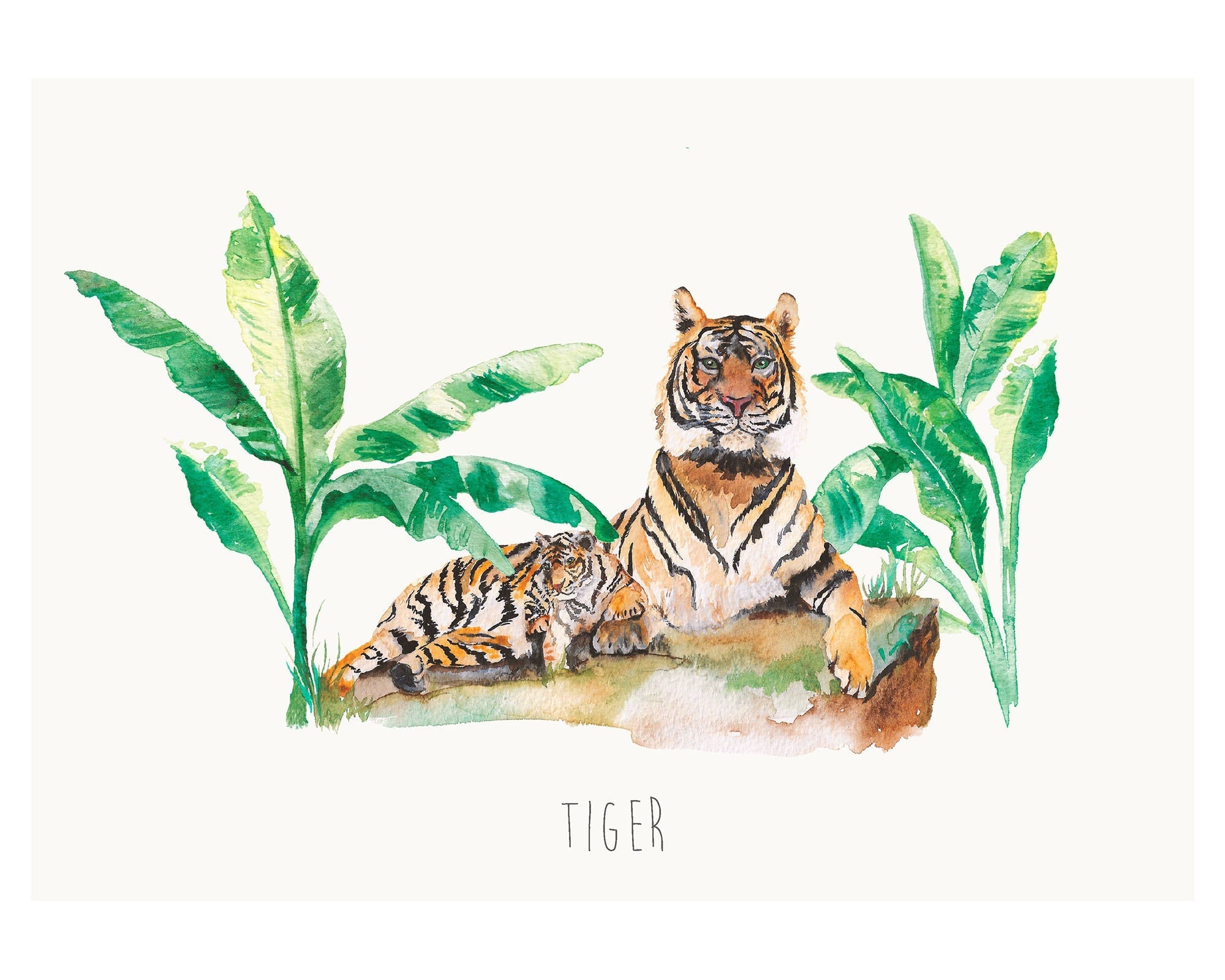 Tiger Watercolour Art Print