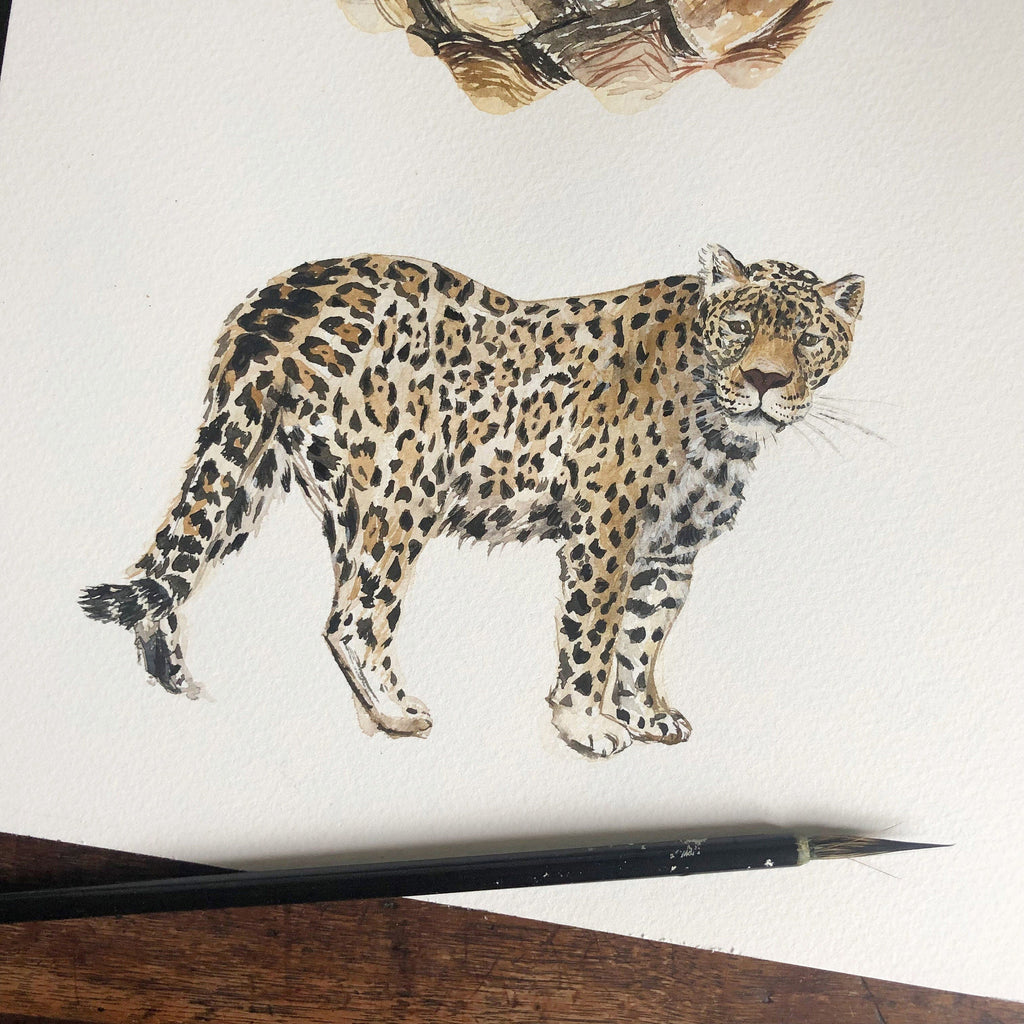 Jaguar Personalised Watercolour Fine Art Print