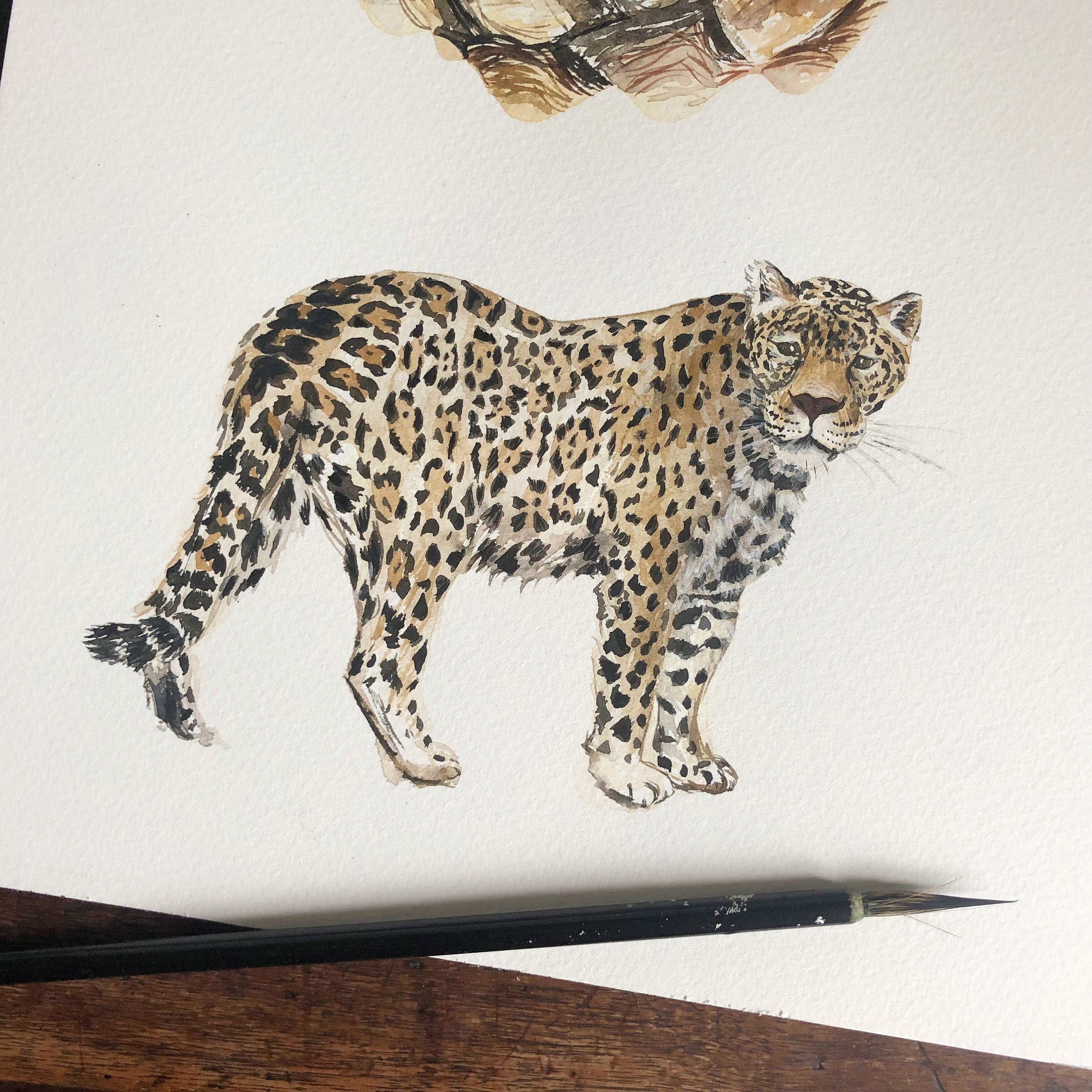 Jaguar Personalised Watercolour Fine Art Print
