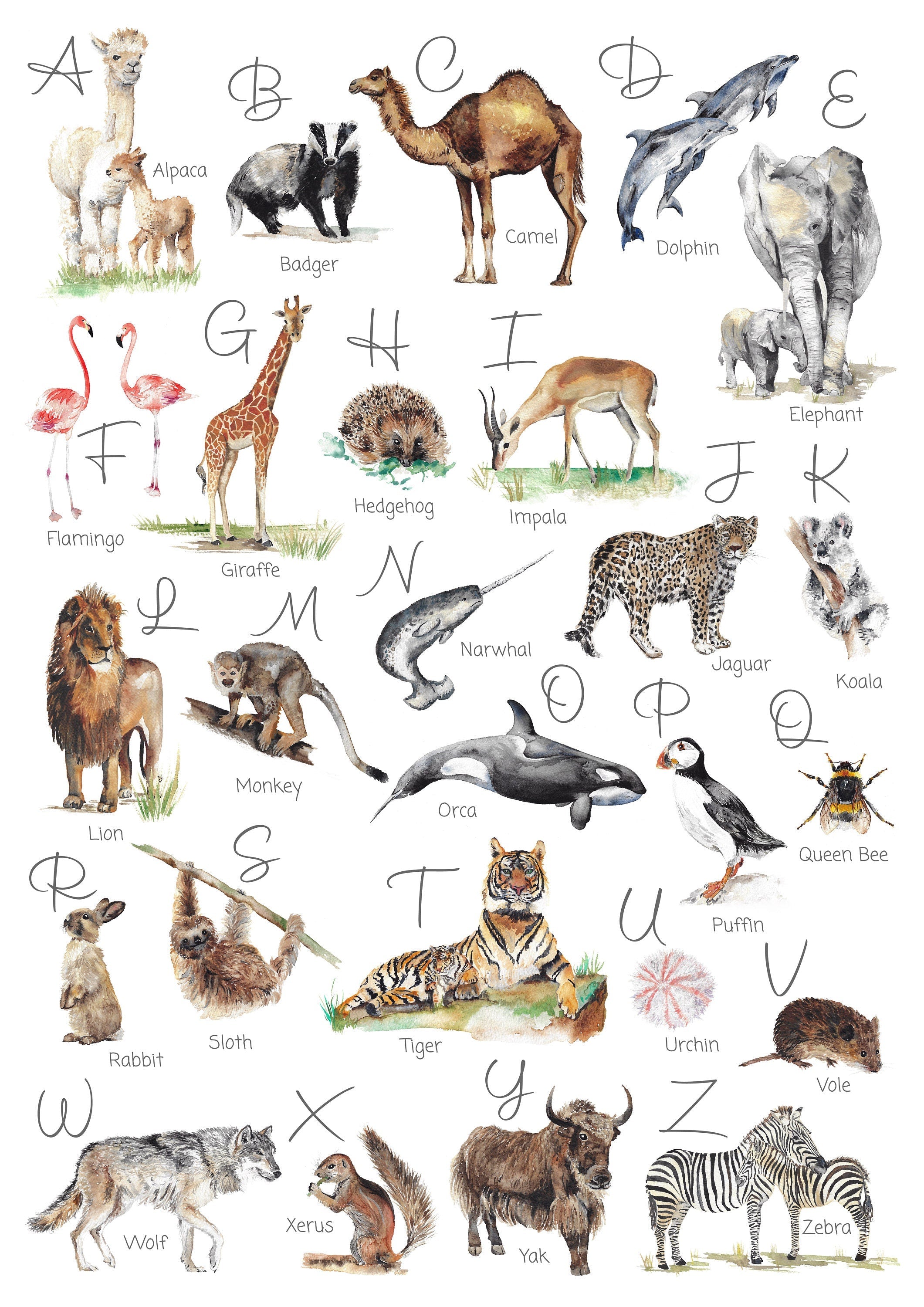Animal Alphabet Children's Wall Print