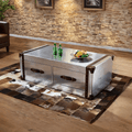 Aviator Coffee Table - Miola