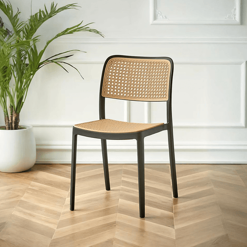 Ann Rattan Style Dining Chair, Plastic - Miola