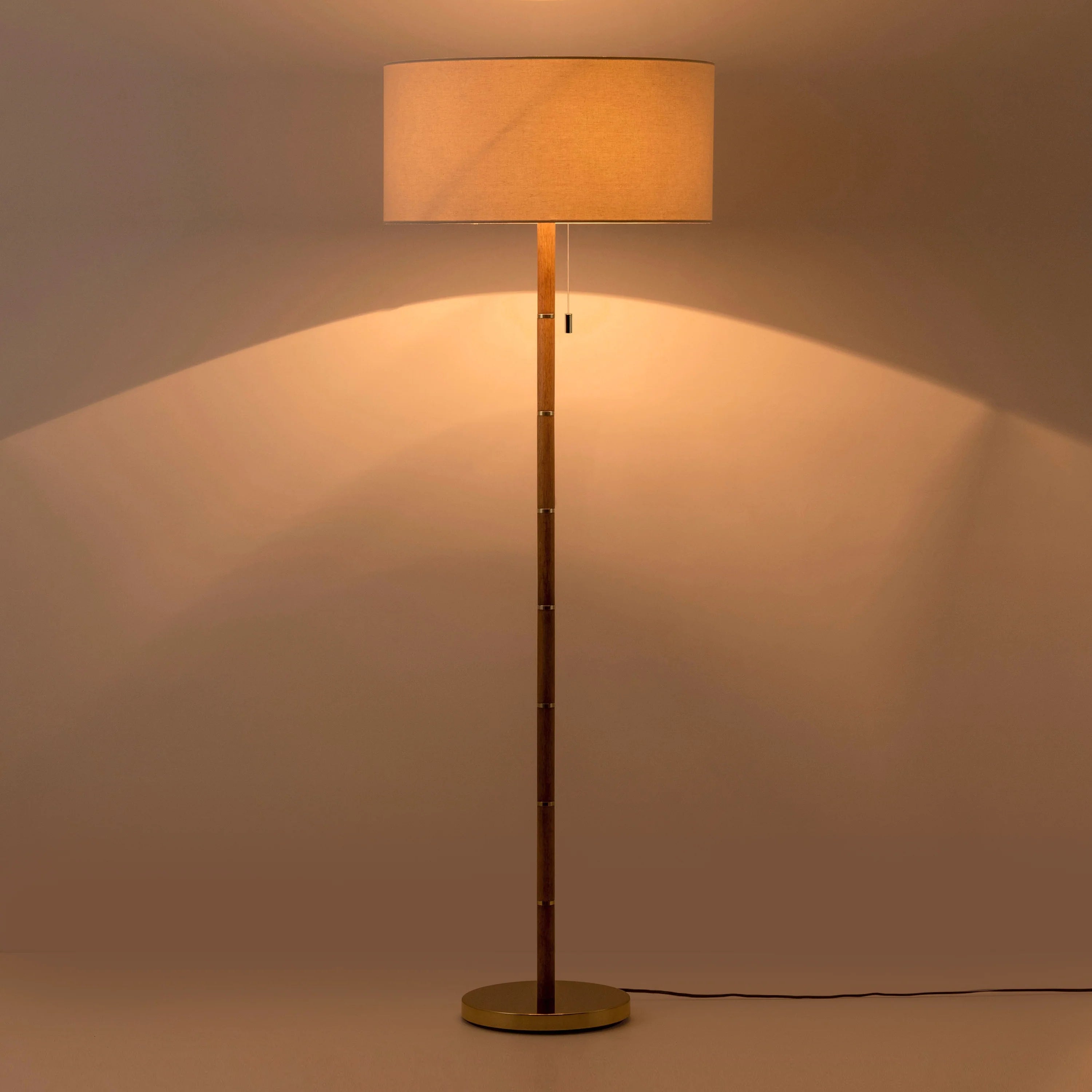 Wood & brass disk floor lamp