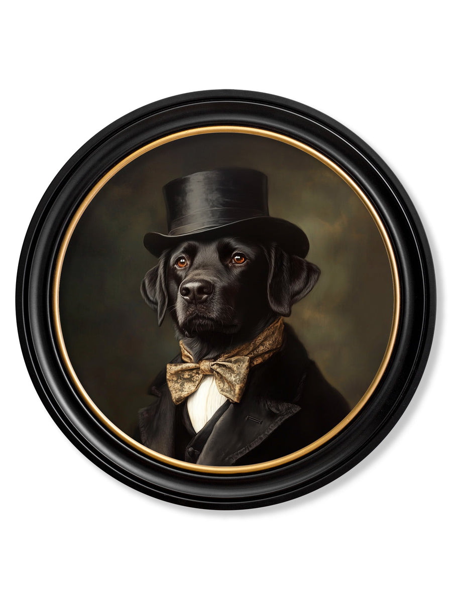 Lord Wagsalot - Oxford round frame