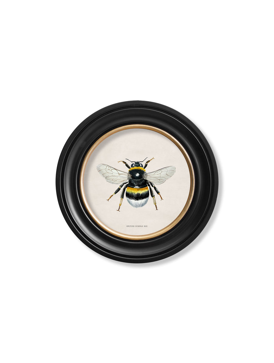 British Bees