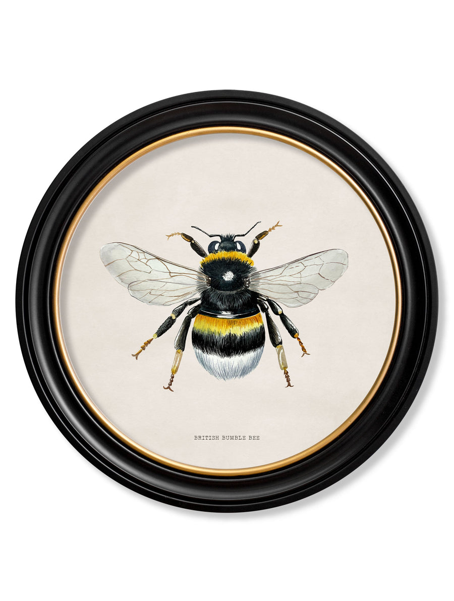 British Bees