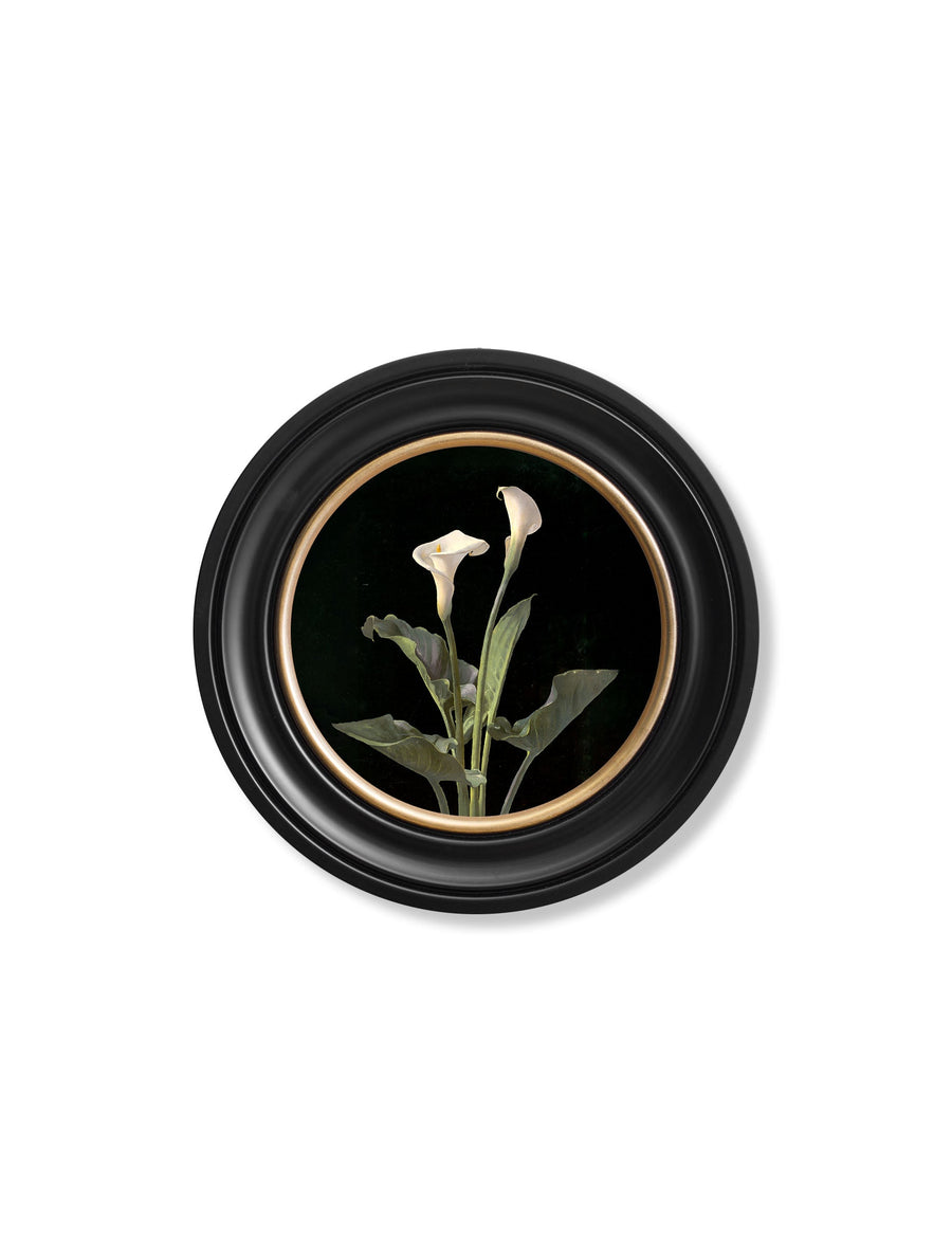 Lambdin Lillys - Round Frame