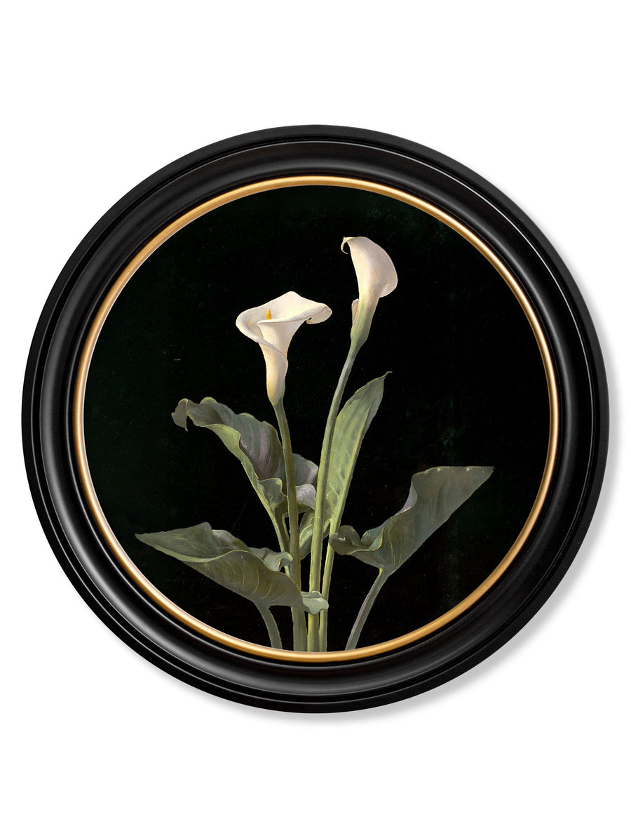 Lambdin Lillys - Round Frame