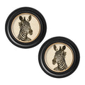 Zebra Illustrations - Miola