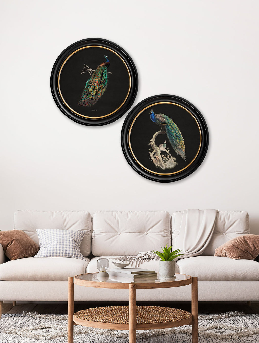 Peacocks in Round Frames