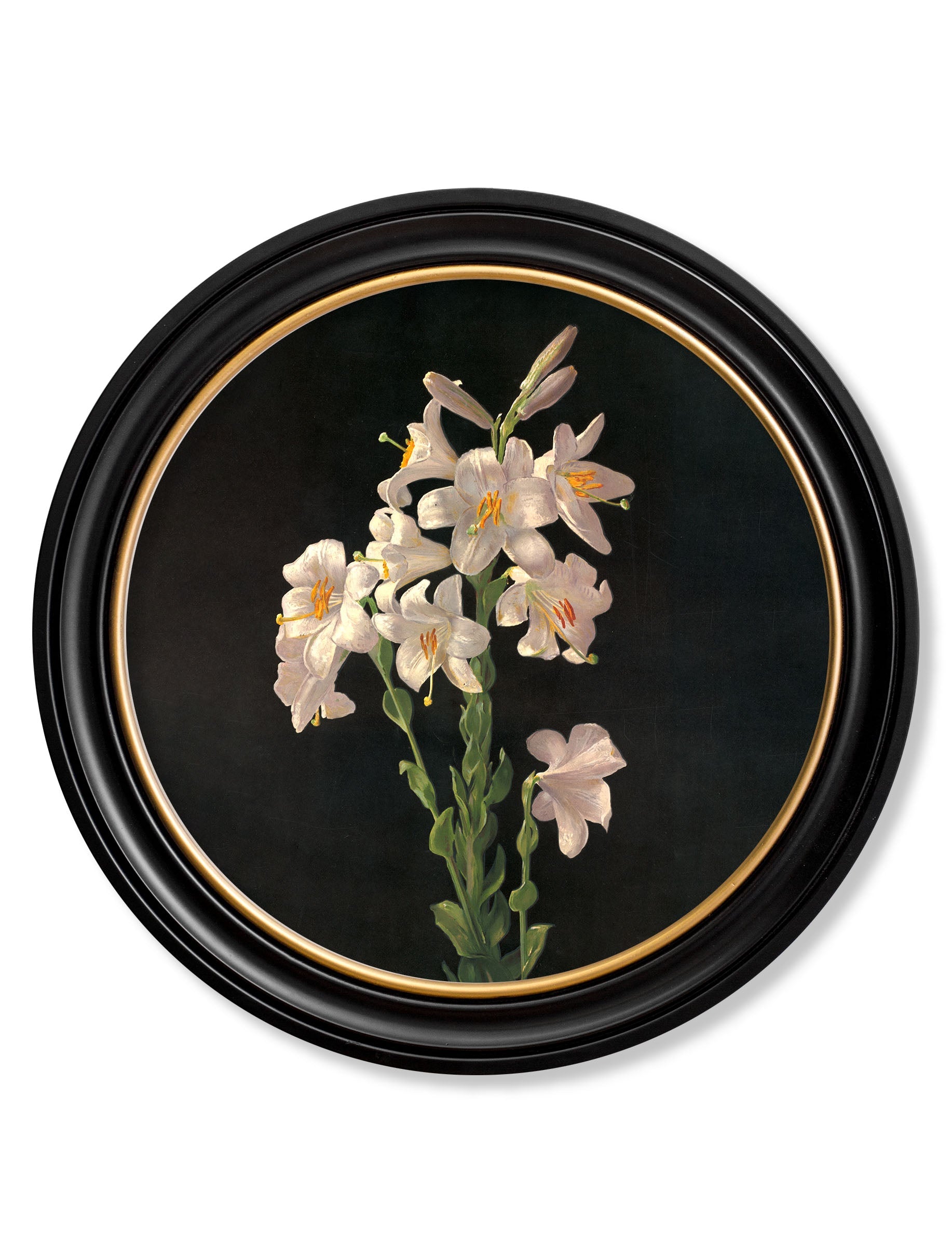 Lambdin Lillys - Round Frame