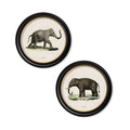 Elephants - Miola