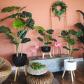 FG124 Artificial Plant - Miola