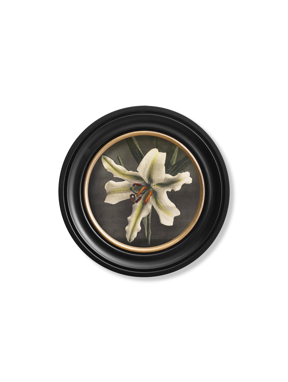 Lily by Kazumasa Ogawa - Oxford Round Frame