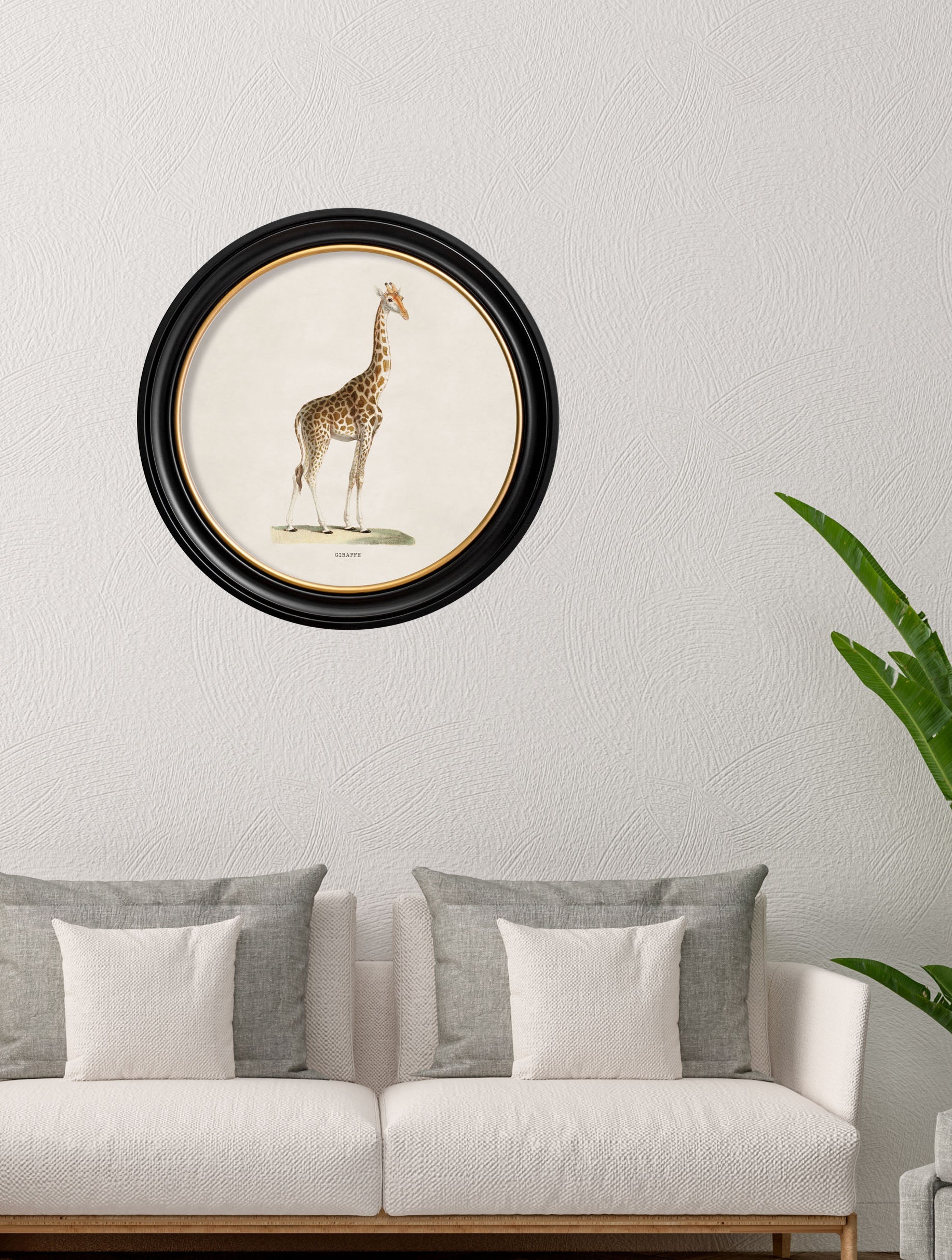 Framed artwork of a giraffe on a wall above a sofa with decorative pillows.