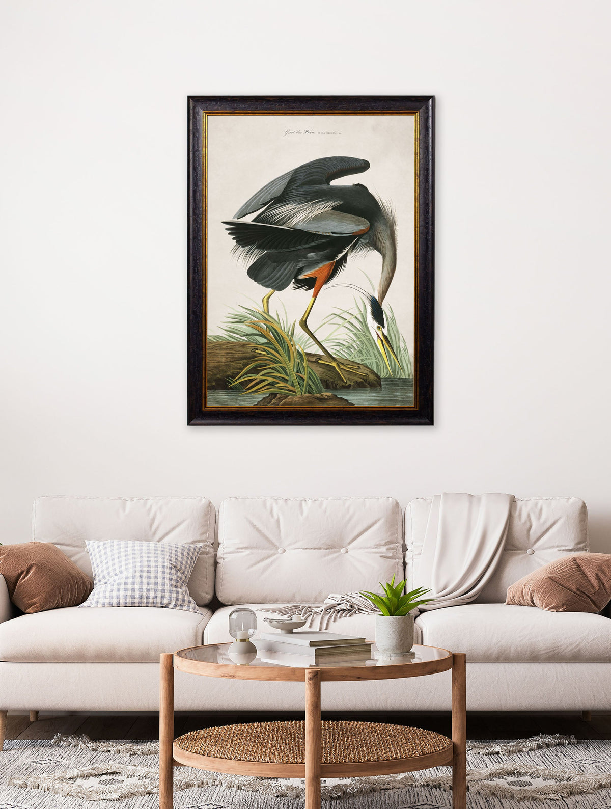 c.1838 Audubon's Great Blue Heron
