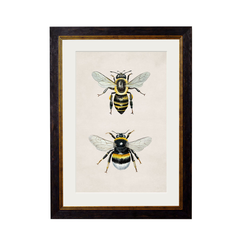 Honey and Bumble Bee