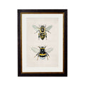 Honey and Bumble Bee - Miola