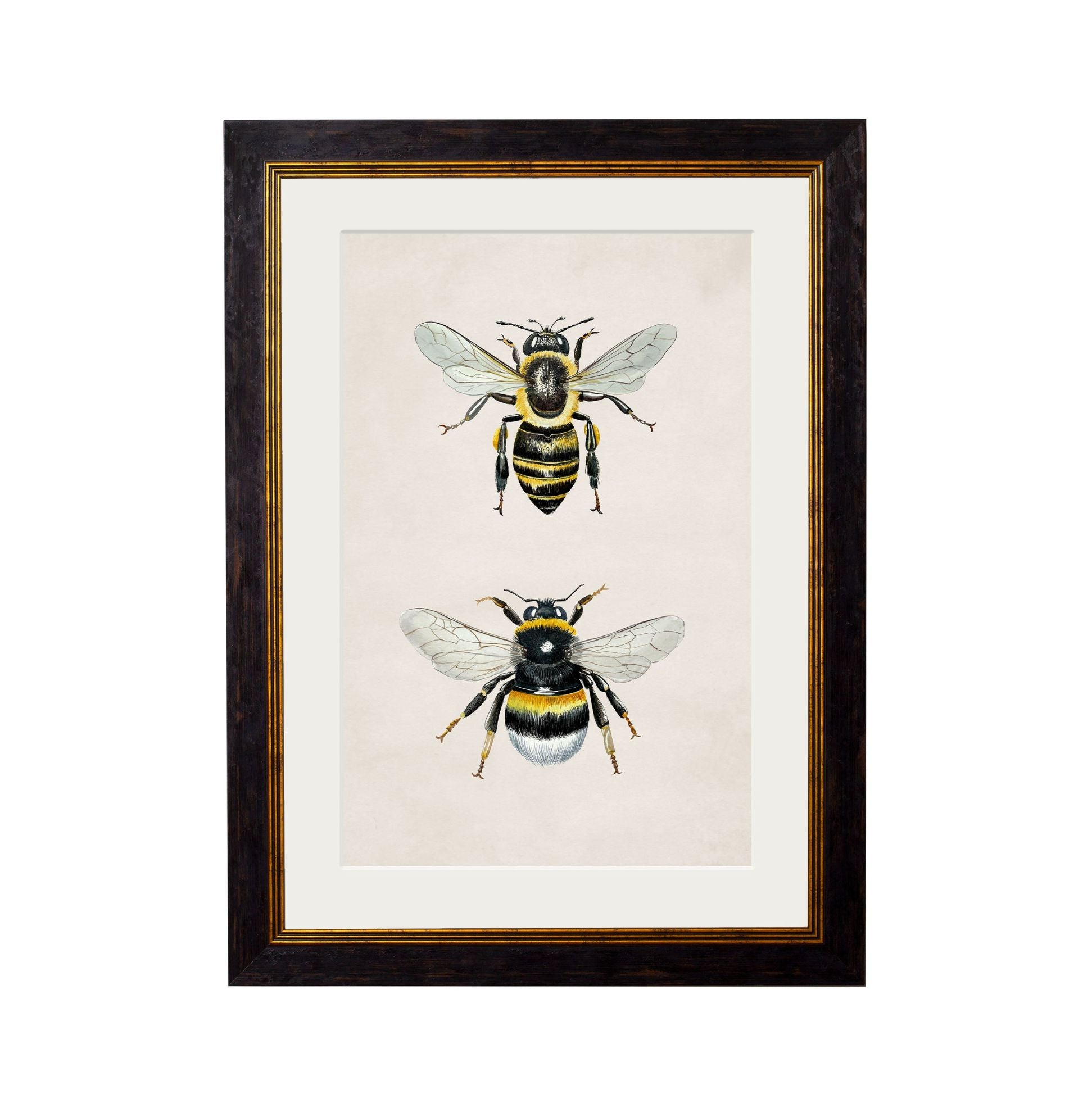 Honey and Bumble Bee