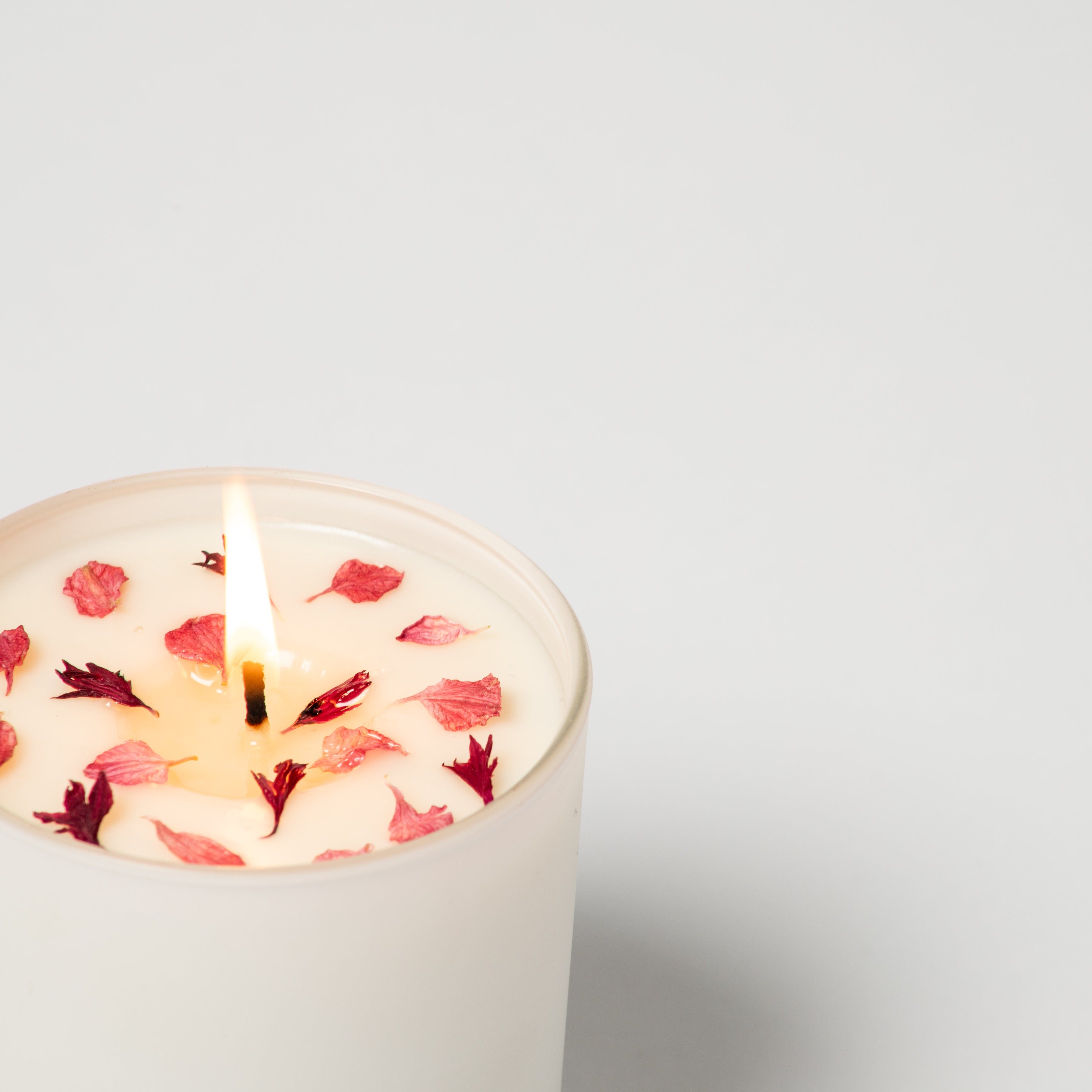 New! Cherry Orchard - Miola