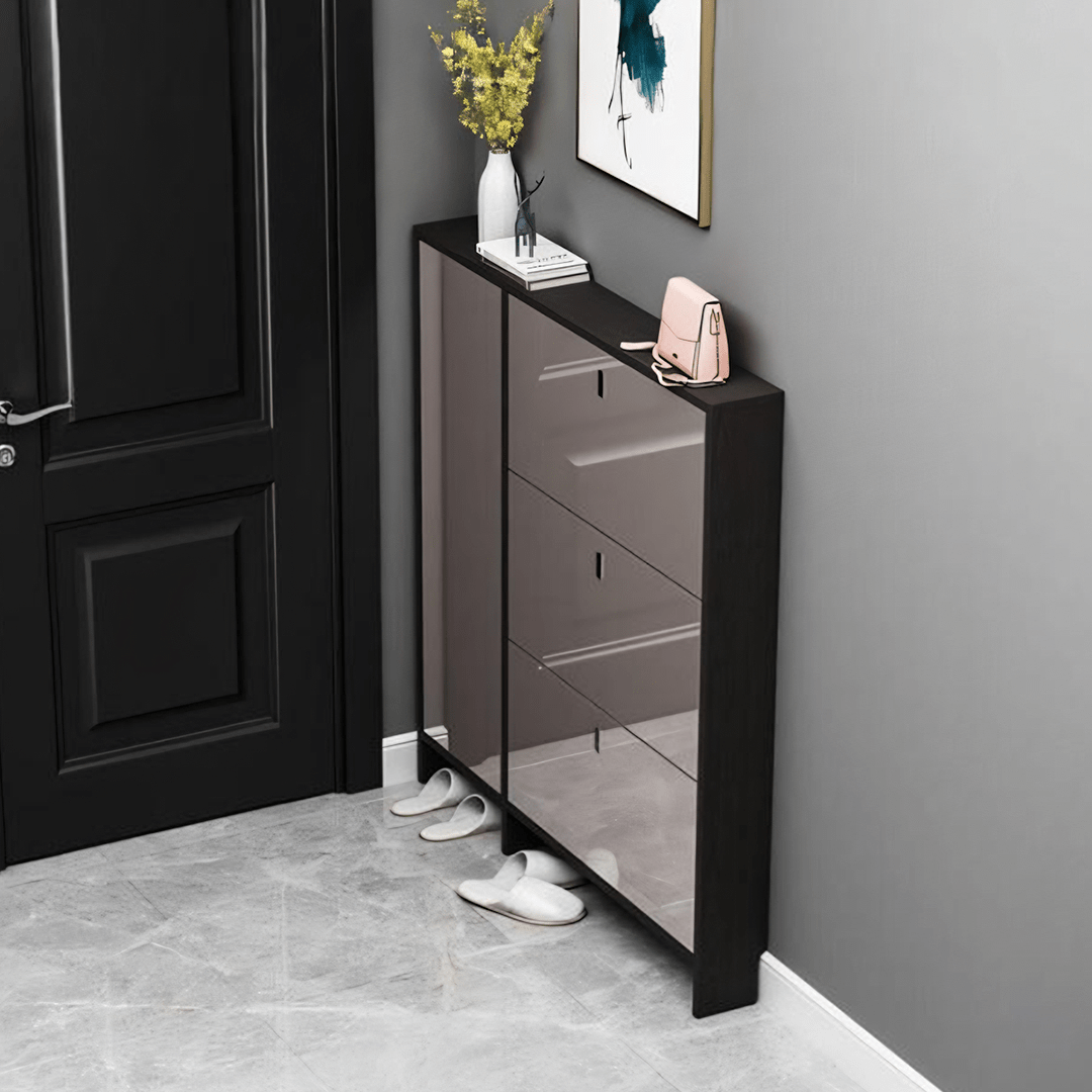 Knauss Mirrored Shoe Storage, Halllway - Miola