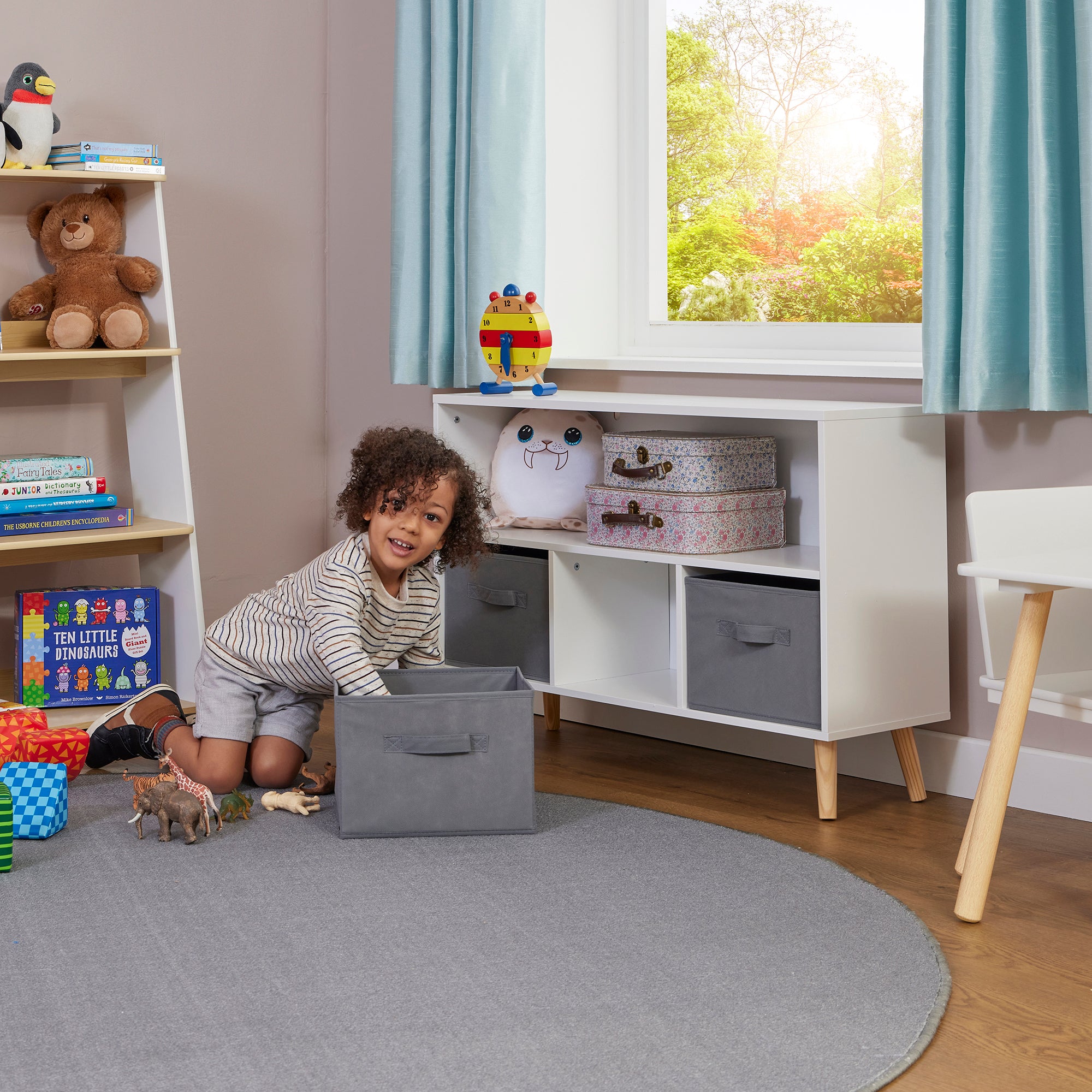 Storage Shelf and Fabric Storage Bins