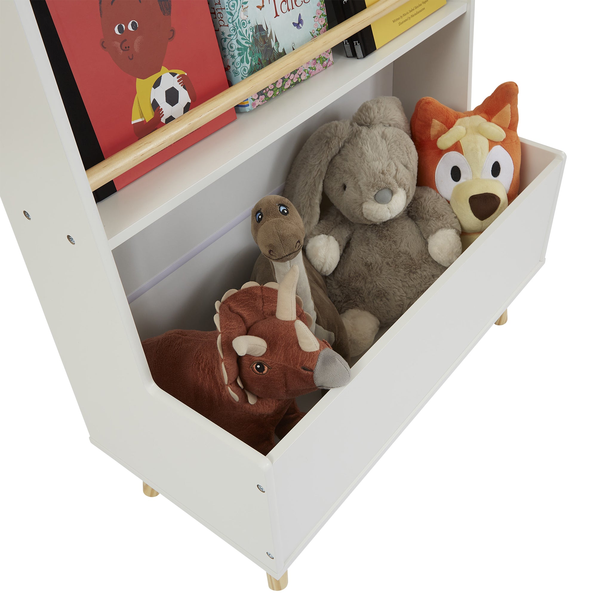 Bookcase and Toy Storage Cabinet