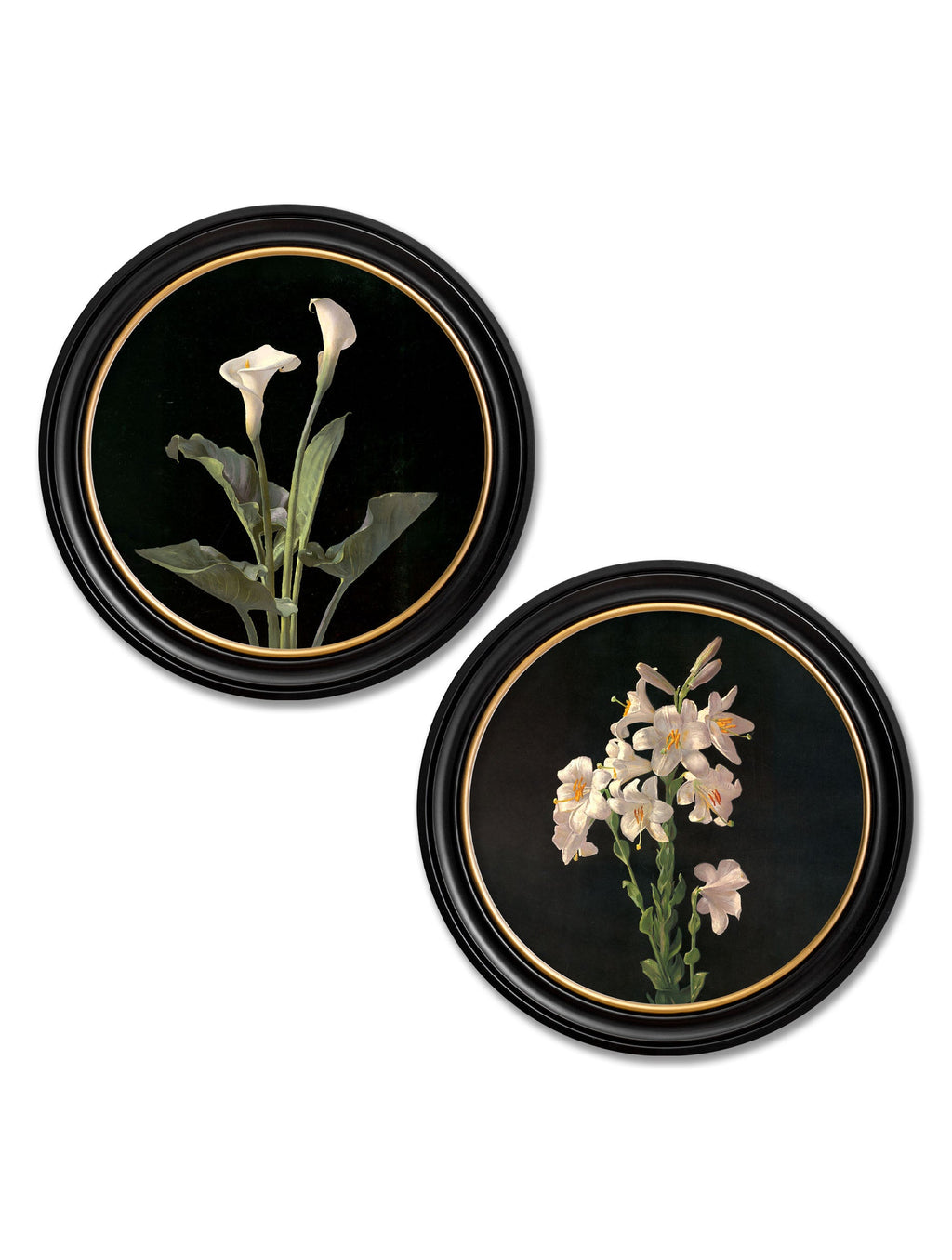 Lambdin Lillys - Round Frame