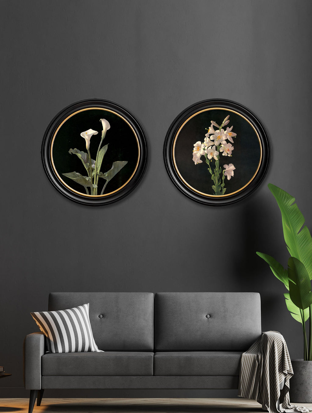 Lambdin Lillys - Round Frame