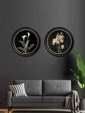 Lambdin Lillys - Round Frame